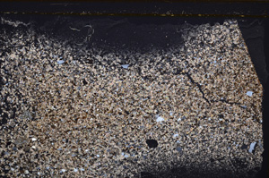 Cross Polarized, E34541