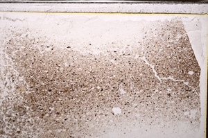 Plane Polarized, E34541