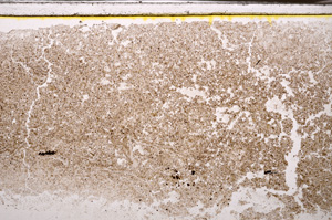 Plane Polarized, E34543