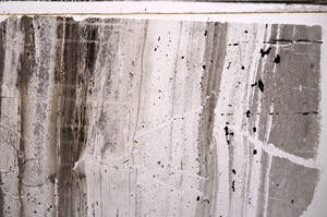 Plane Polarized, E34546