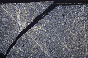 Cross Polarized, E34554