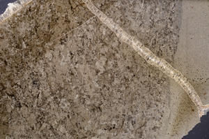 Cross Polarized, E34562