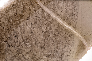 Plane Polarized, E34562