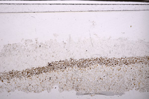 Plane Polarized, E34577