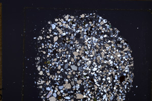 Cross Polarized, E34590