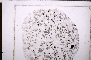 Plane Polarized, E34590