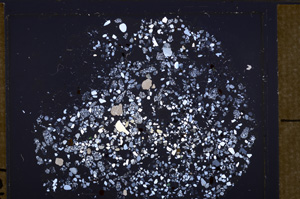 Cross Polarized, E34591