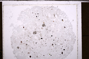 Plane Polarized, E34591