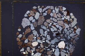 Cross Polarized, E34594