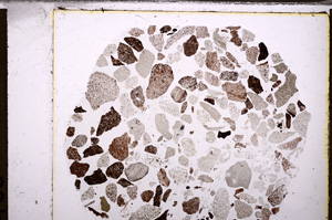 Plane Polarized, E34594