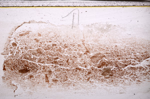 Plane Polarized, E34602