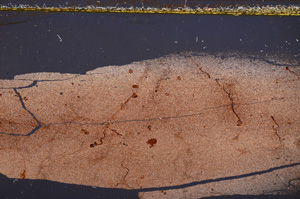 Cross Polarized, E34607