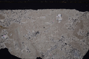 Cross Polarized, E34650