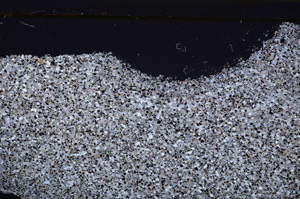 Cross Polarized, E34718