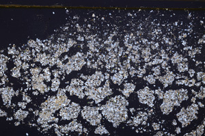 Cross Polarized, E34719