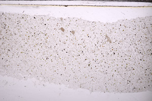 Plane Polarized, E34722