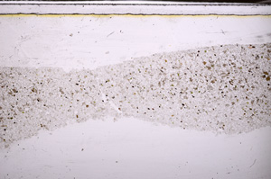 Plane Polarized, E34723