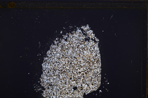 Cross Polarized, E34724