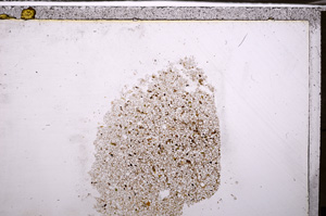 Plane Polarized, E34724