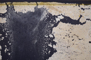 Cross Polarized, E34869