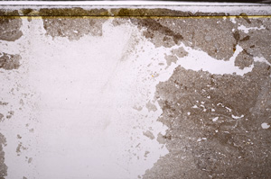 Plane Polarized, E34869