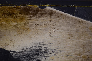 Cross Polarized, E34870