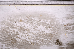 Plane Polarized, E34871