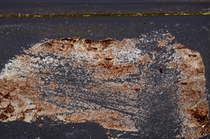 Cross Polarized, E34873