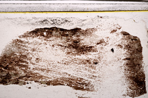 Plane Polarized, E34873