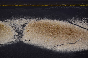 Cross Polarized, E34874