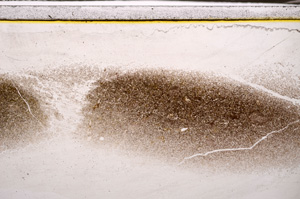 Plane Polarized, E34874