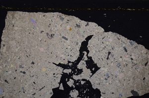 Cross Polarized, E34878