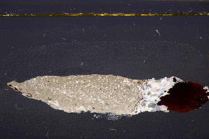 Cross Polarized, E34880