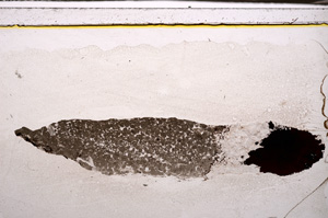 Plane Polarized, E34880