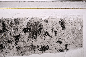 Plane Polarized, E34898