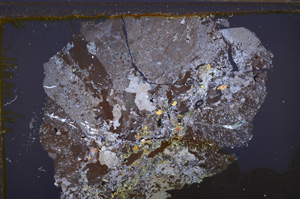 Cross Polarized, E34901
