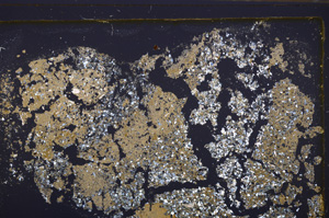 Cross Polarized, E34905