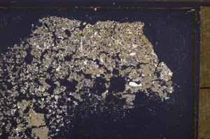 Cross Polarized, E34906