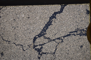 Cross Polarized, E34915