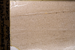 Plane Polarized, E34933