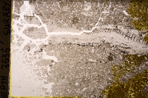 Plane Polarized, E34934