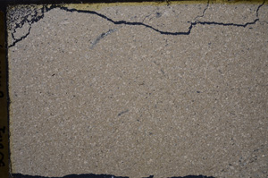 Cross Polarized, E34937