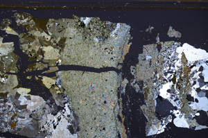Cross Polarized, E34993
