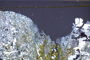 Cross Polarized, E34994