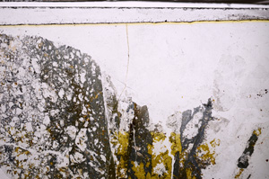 Plane Polarized, E34994