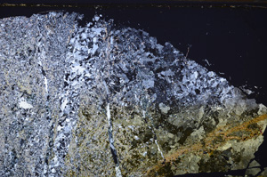 Cross Polarized, E34998