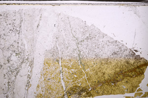 Plane Polarized, E34998