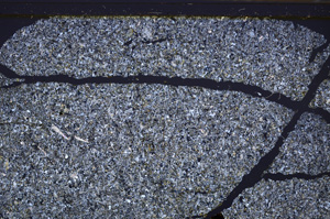 Cross Polarized, E35054