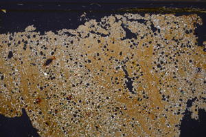Cross Polarized, E35076