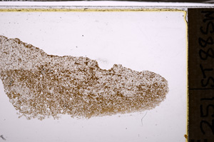 Plane Polarized, E35093